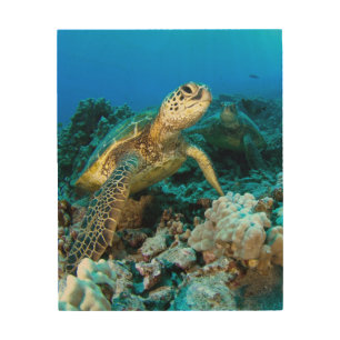 Turtle Pair Wood Wall Art