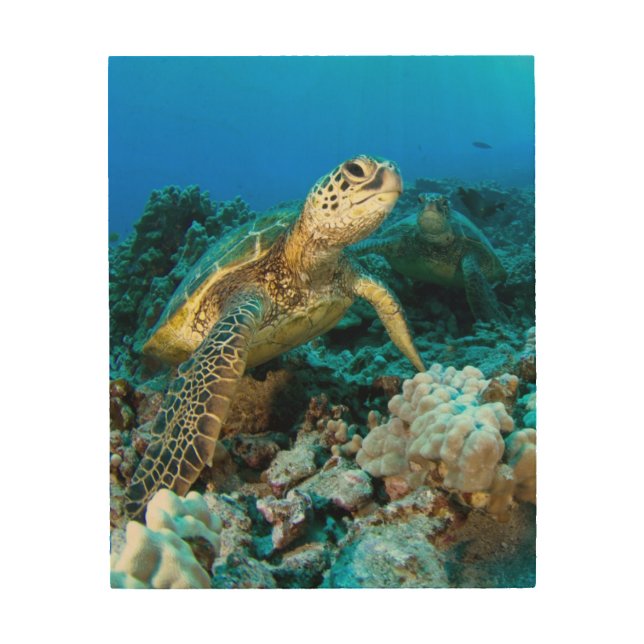 Turtle Pair Wood Wall Art (Front)