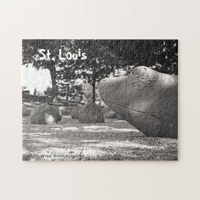 Turtle Playground Jigsaw Puzzle (Horizontal)