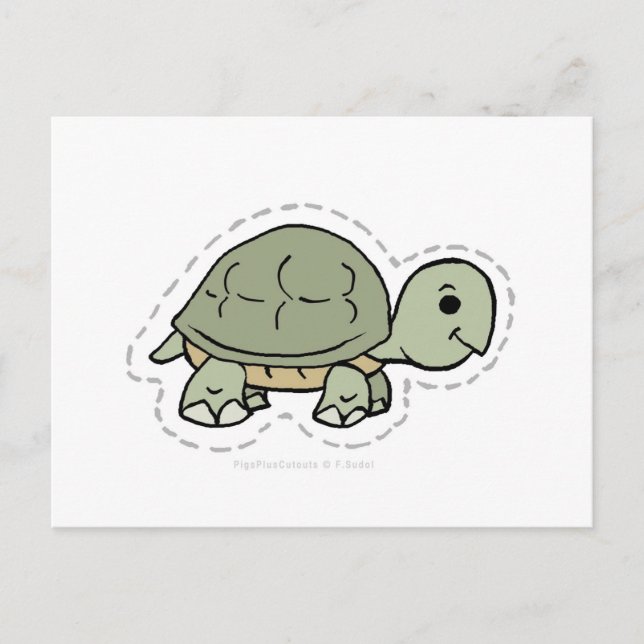 TURTLE POSTCARD (Front)