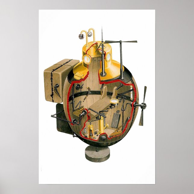 turtle poster (Front)