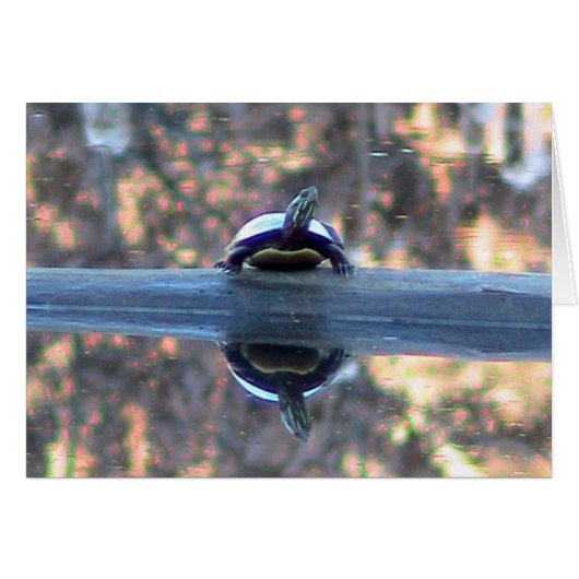 Turtle Reflections Card (Front Horizontal)