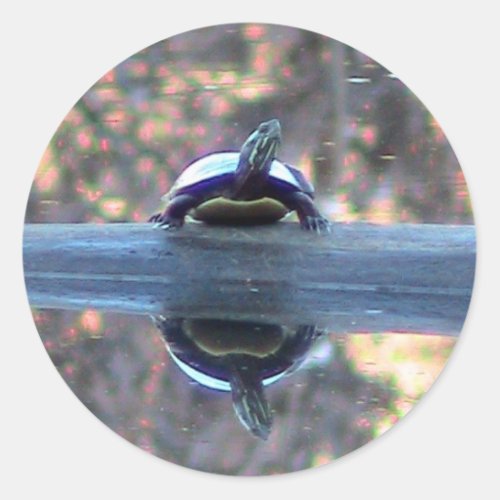 Turtle Reflections Sticker