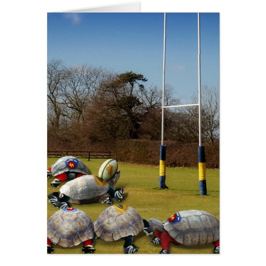 Turtle Rugby Cards (Front)