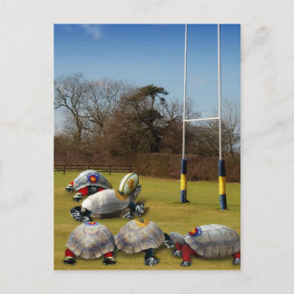 Turtle Rugby Postcard