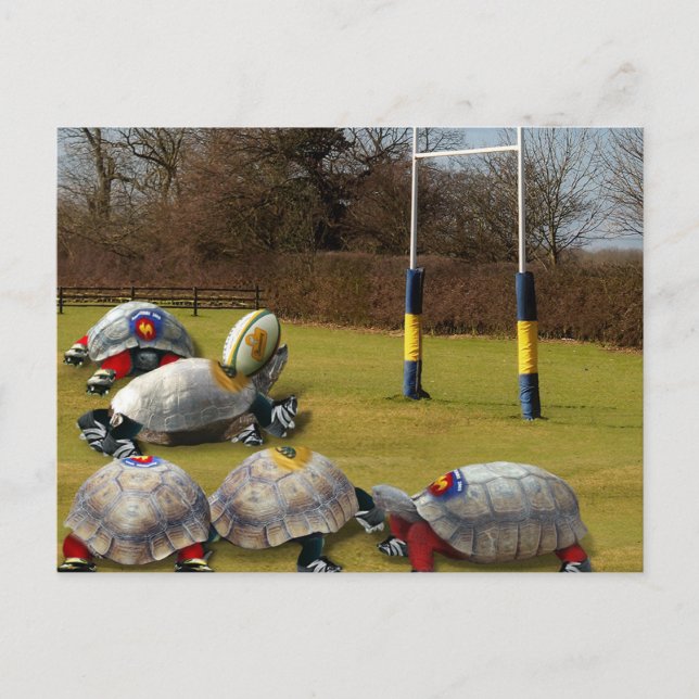 Turtle Rugby Postcard (Front)