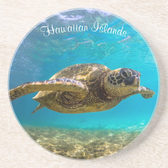 Turtle Sandstone Coaster (Front)