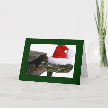 Turtle Santa Holiday Card