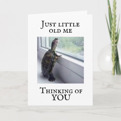  TURTLE SAYS I MISS YOU CARD