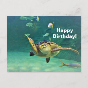 Birthday Sea Turtle Postcards No Minimum Quantity Zazzle