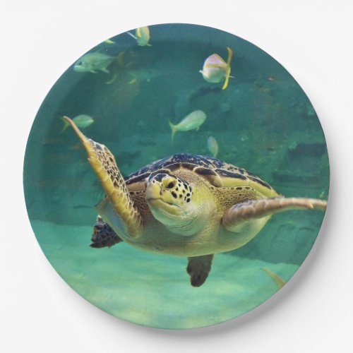 Turtle Sea Water Fish Photo Paper Plates