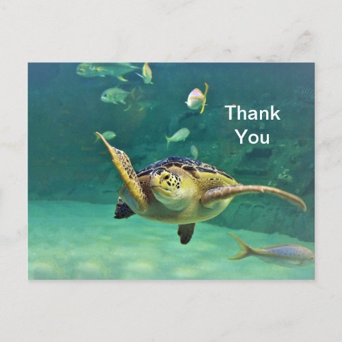 Turtle Sea Water Fish Photo Thank You Postcard
