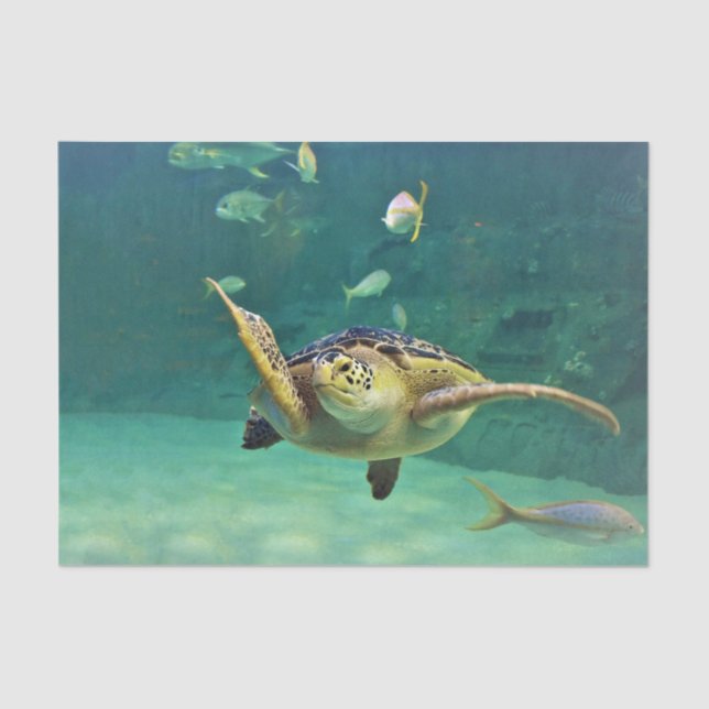 Turtle Sea Water Fish Photo Tissue Paper (Front)