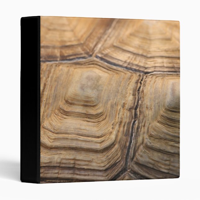 Turtle Shell Binder (Front/Spine)