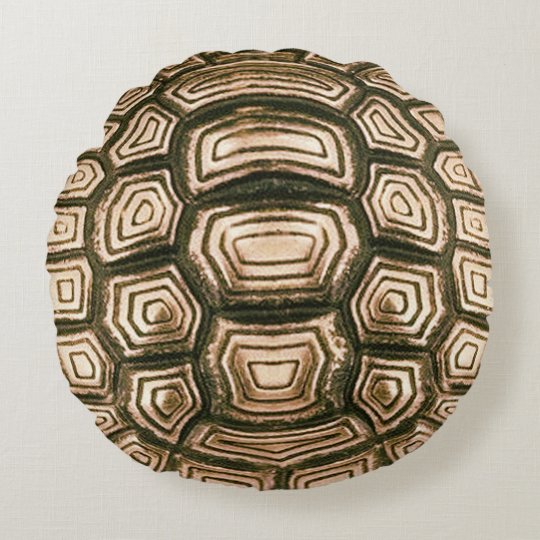 turtle shell pillow