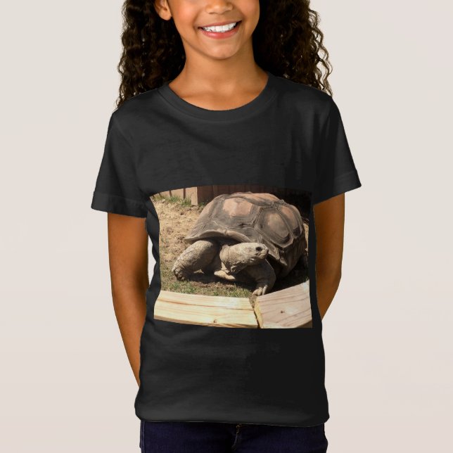 turtle shrit T-Shirt (Front)