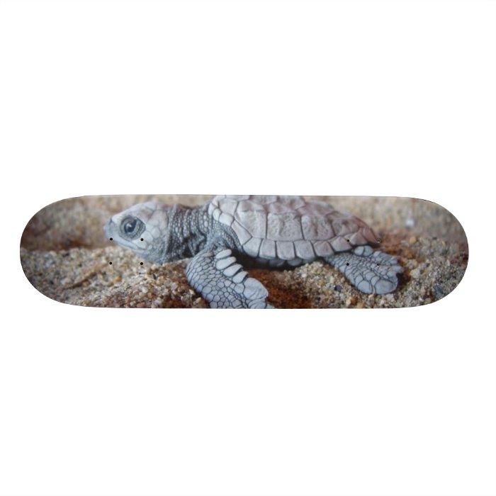 turtle skateboard decks