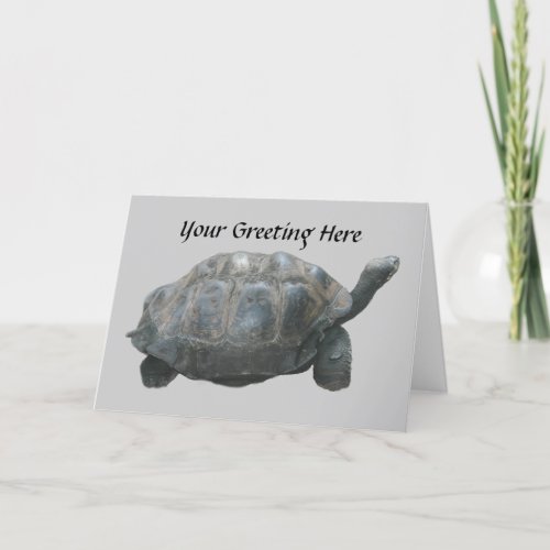 Turtle Slow Down Greeting Card