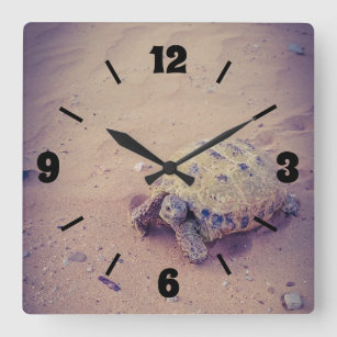turtle square wall clock