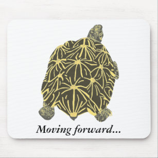 Turtle, star tortoise, painting mousepad