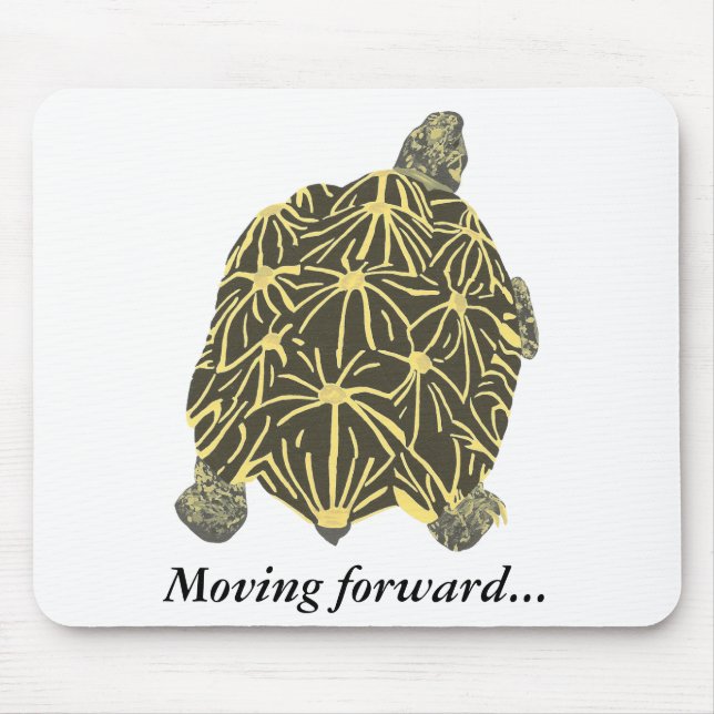 Turtle, star tortoise, painting mousepad (Front)