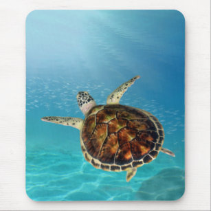 Turtle swimming underwater Mousepad