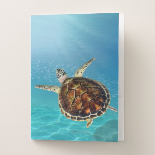 Turtle swimming underwater  pocket folder