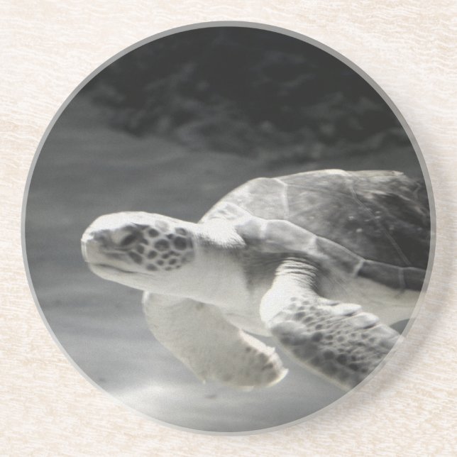 Turtle Table Home Decor Sandstone Coaster (Front)
