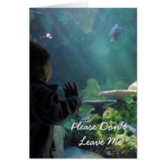 Turtle Tank Viewer Cards (Front)