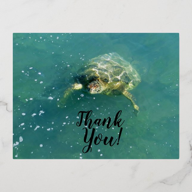Turtle Thank you postcard (Front)