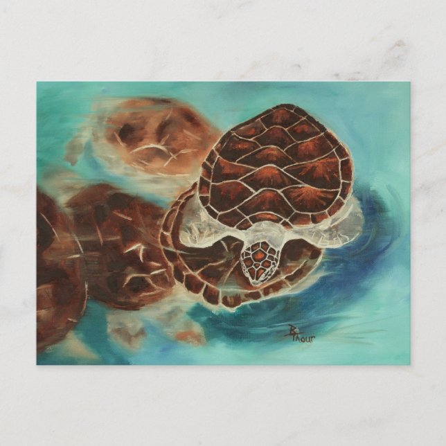 Turtle Time Postcard (Front)