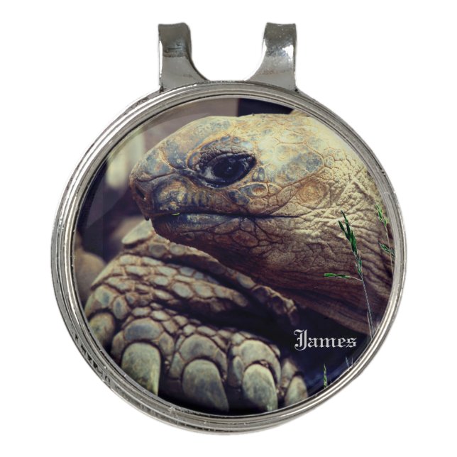 Turtle Tortoise Animal Trendy  Golf Head Cover Hat Clip (Front)