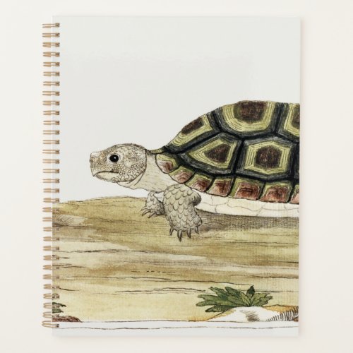 Turtle  Tortoise Harmony Notes Jigsaw Planner