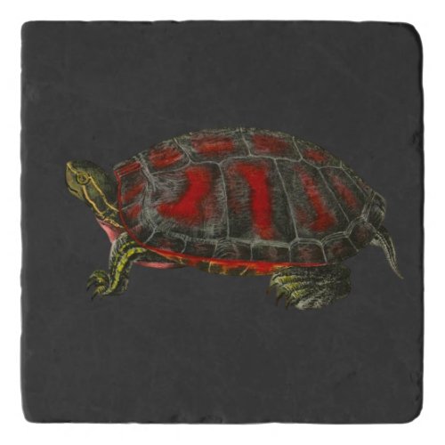 turtle trivet