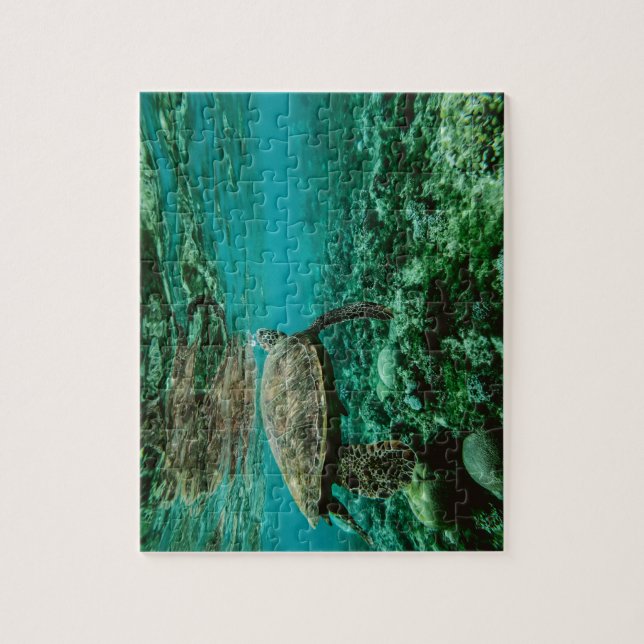 Turtle underwater world ocean jigsaw puzzle (Vertical)
