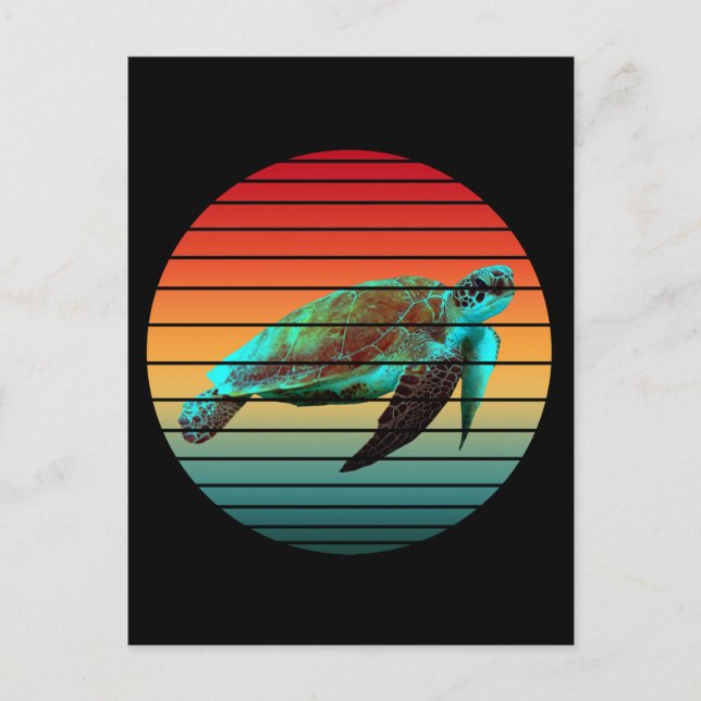 turtle vintage   postcard (Front)