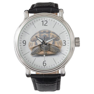 Turtle Watch