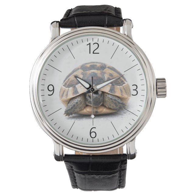 Turtle Watch (Front)
