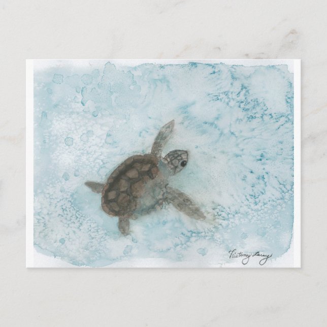 Turtle Watercolor Painting Postcard (Front)