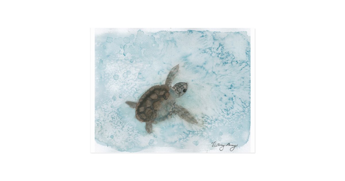 Turtle Watercolor Painting Postcard Zazzle Com