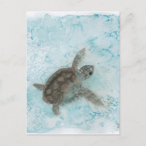 Turtle Watercolor Painting Postcard