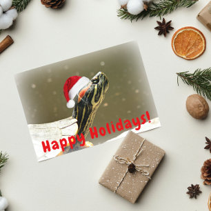 Turtle Wearing Red Santa Cap Funny Holiday Card