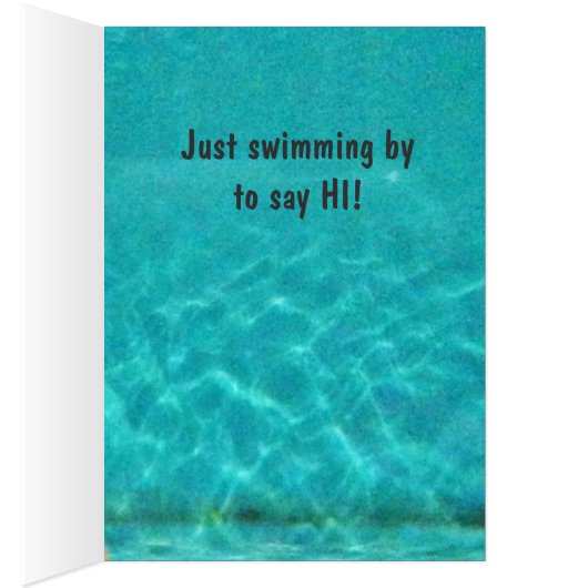 Turtle What's Up Selfie (Inside (Right))