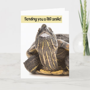 Turtle With Big Teeth Smiling Humor Holiday Card