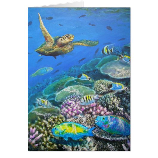 turtle with parrotfish cards (Front)