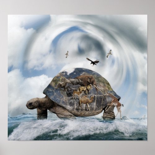 Turtle World Animals Poster