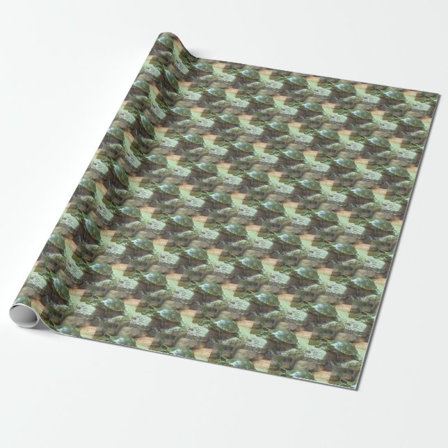Turtle Wrapping Paper (Unrolled)