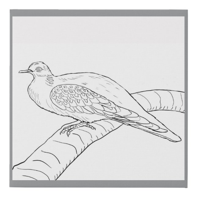 Turtledove Faux Canvas Print (Front)