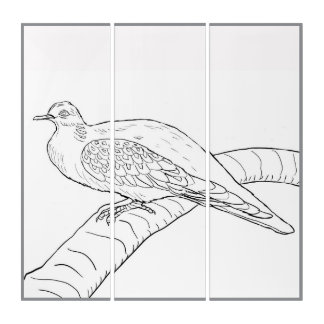 Turtledove Triptych