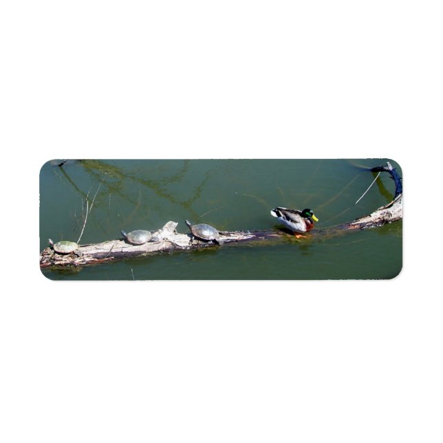 Turtles and Duck Label (Front)